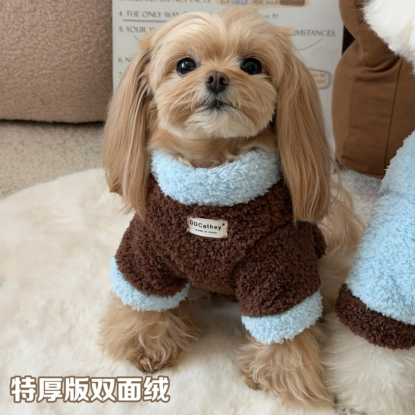 袋袋猫 奶蓝咖啡云朵双面毛绒宠物冬保暖棉衣约克夏德文小狗衣服