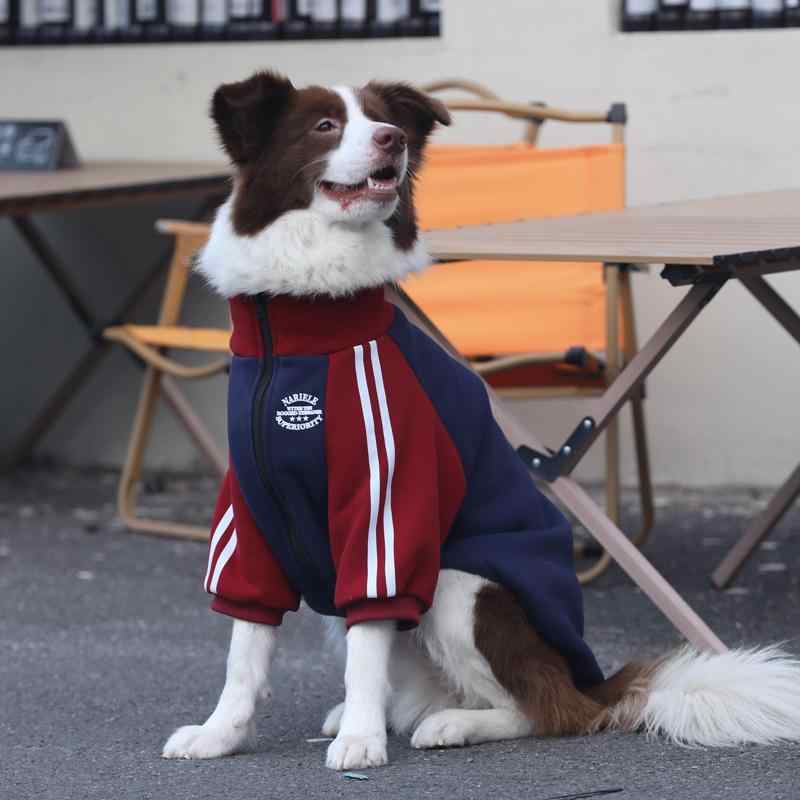 大狗秋冬衣服 中大型犬拼色潮牌外套 边牧金毛加绒加厚纯棉冬装